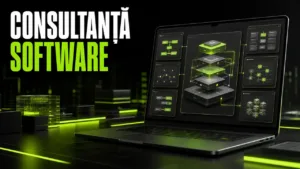 Consultanță software